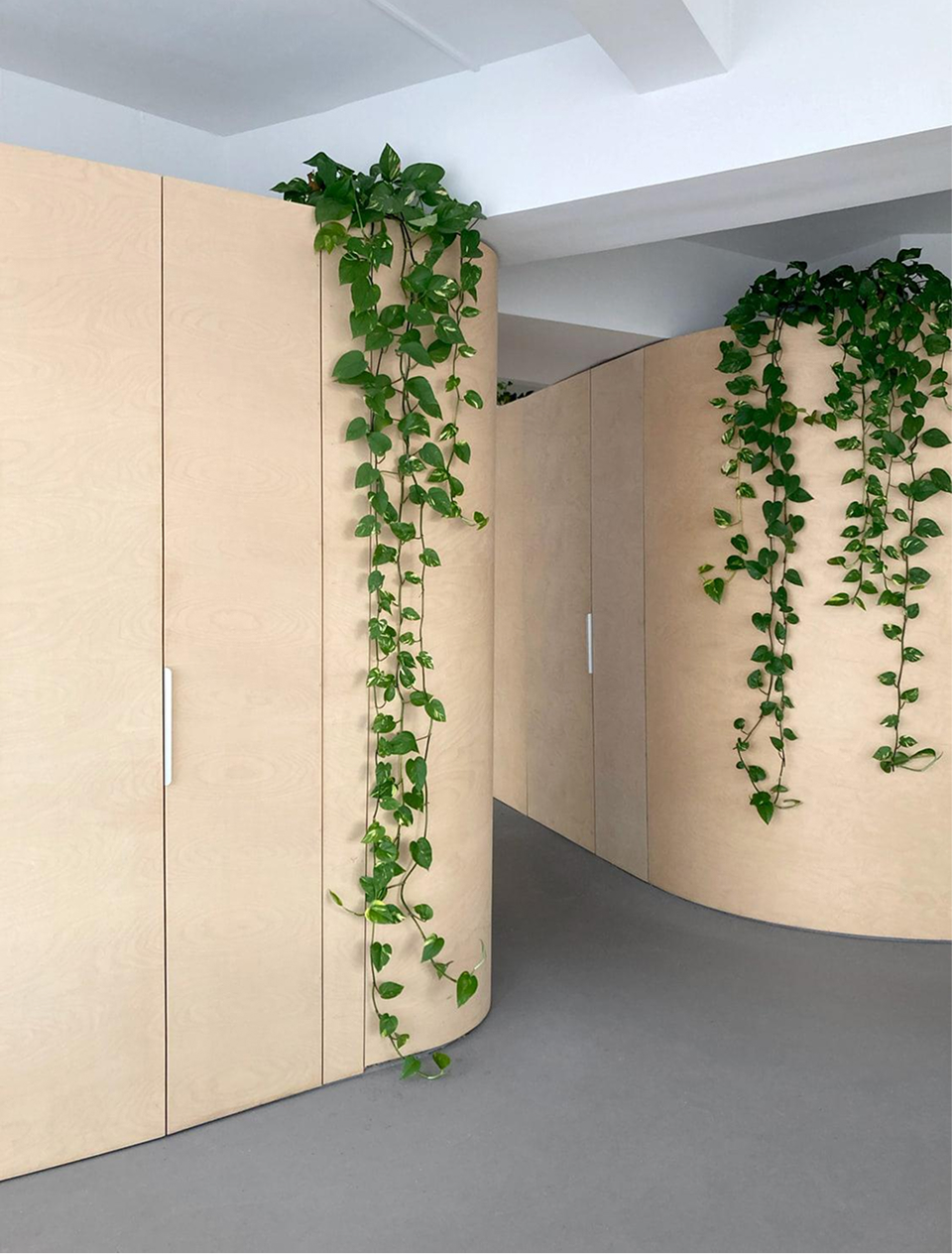 Local Spaces Architecture